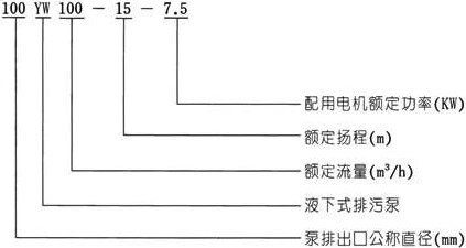 YW無堵塞液下式红杏污视频免费下载型號意義