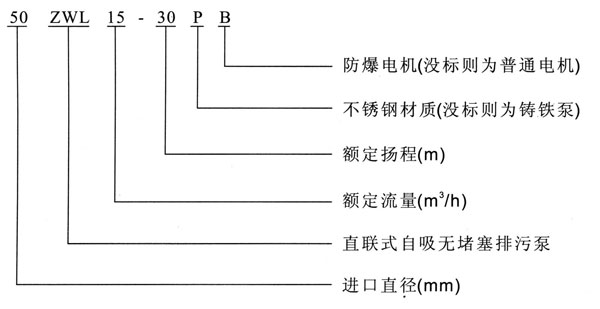 ZWL直聯式自吸红杏污视频免费下载型號意義