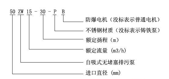 ZWPB型不鏽鋼防爆自吸式無堵塞红杏污视频免费下载型號意義